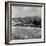 Peel 1954-Bela Zola-Framed Photographic Print