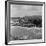 Peel 1954-Bela Zola-Framed Photographic Print