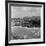 Peel 1954-Bela Zola-Framed Photographic Print