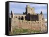 Peel Castle, Isle of Man, Europe-Rolf Richardson-Framed Stretched Canvas