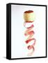 Peeled Apple with Spiral-Shaped Apple Peel-Walter Cimbal-Framed Stretched Canvas