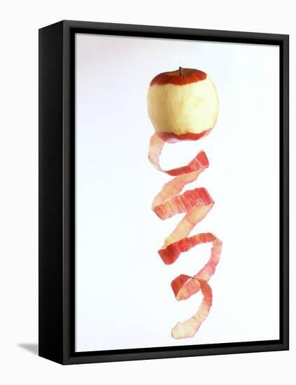 Peeled Apple with Spiral-Shaped Apple Peel-Walter Cimbal-Framed Stretched Canvas