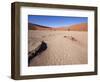 Peeling Ground-jlombard-Framed Photographic Print