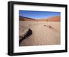 Peeling Ground-jlombard-Framed Photographic Print