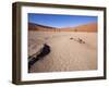 Peeling Ground-jlombard-Framed Photographic Print