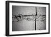 Peeling Paint-null-Framed Photo