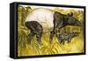 Peeps at Nature: The Tapir-Arthur Oxenham-Framed Stretched Canvas