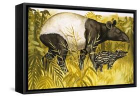 Peeps at Nature: The Tapir-Arthur Oxenham-Framed Stretched Canvas