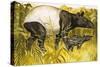 Peeps at Nature: The Tapir-Arthur Oxenham-Stretched Canvas