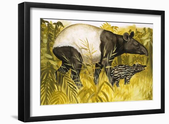 Peeps at Nature: The Tapir-Arthur Oxenham-Framed Giclee Print