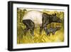 Peeps at Nature: The Tapir-Arthur Oxenham-Framed Giclee Print