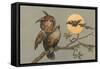 Peeved Horned Owl-null-Framed Stretched Canvas