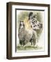 Peevish-Barbara Keith-Framed Giclee Print