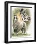 Peevish-Barbara Keith-Framed Giclee Print