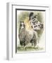 Peevish-Barbara Keith-Framed Giclee Print