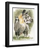 Peevish-Barbara Keith-Framed Premium Giclee Print