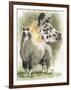 Peevish-Barbara Keith-Framed Giclee Print