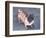 Peewee-Herb Dickinson-Framed Photographic Print