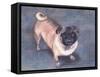 Peewee-Herb Dickinson-Framed Stretched Canvas