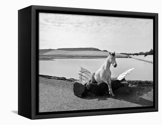 Pegasus 1, 2015-Jaschi Klein-Framed Stretched Canvas