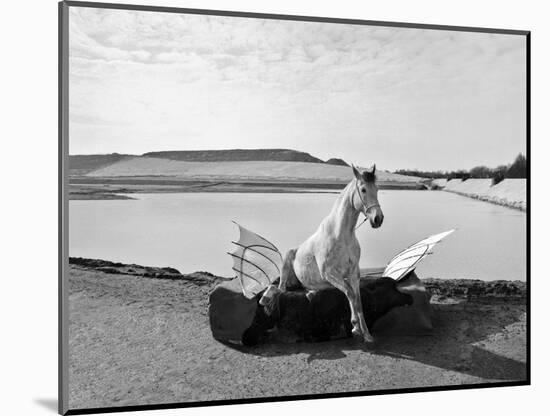 Pegasus 1, 2015-Jaschi Klein-Mounted Photographic Print