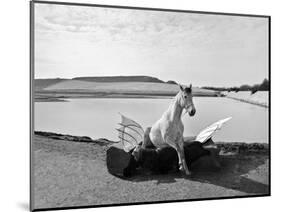 Pegasus 1, 2015-Jaschi Klein-Mounted Photographic Print