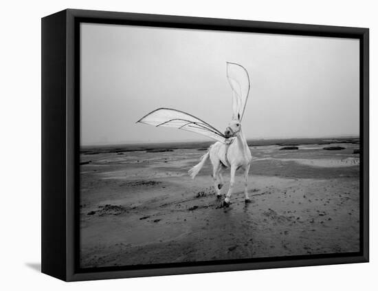 Pegasus 2-Jaschi Klein-Framed Stretched Canvas