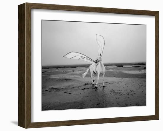 Pegasus 2-Jaschi Klein-Framed Photographic Print