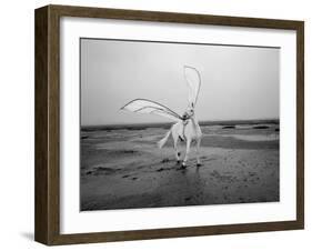 Pegasus 2-Jaschi Klein-Framed Photographic Print