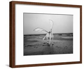 Pegasus 2-Jaschi Klein-Framed Photographic Print