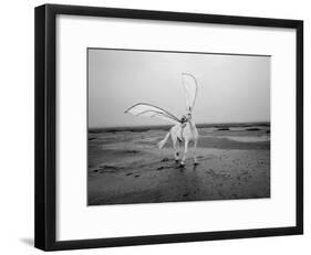 Pegasus 2-Jaschi Klein-Framed Photographic Print