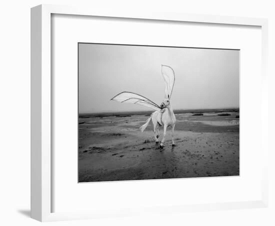 Pegasus 2-Jaschi Klein-Framed Photographic Print