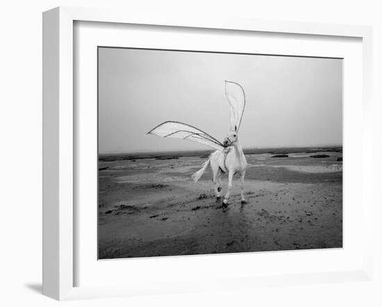 Pegasus 2-Jaschi Klein-Framed Photographic Print