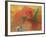 Pegasus Triumphant-Odilon Redon-Framed Giclee Print