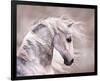 Pegasus-null-Framed Premium Giclee Print