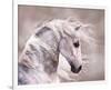 Pegasus-null-Framed Premium Giclee Print