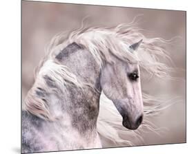 Pegasus-null-Mounted Premium Giclee Print