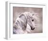 Pegasus-null-Framed Art Print