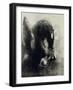 Pegasus-Odilon Redon-Framed Giclee Print