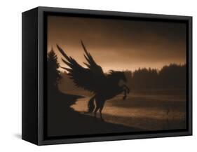 Pegasus-Julie Fain-Framed Stretched Canvas