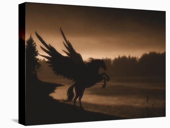 Pegasus-Julie Fain-Stretched Canvas