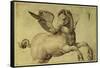 Pegasus-Jacopo de'Barbari-Framed Stretched Canvas