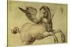 Pegasus-Jacopo de'Barbari-Stretched Canvas