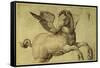 Pegasus-Jacopo de'Barbari-Framed Stretched Canvas