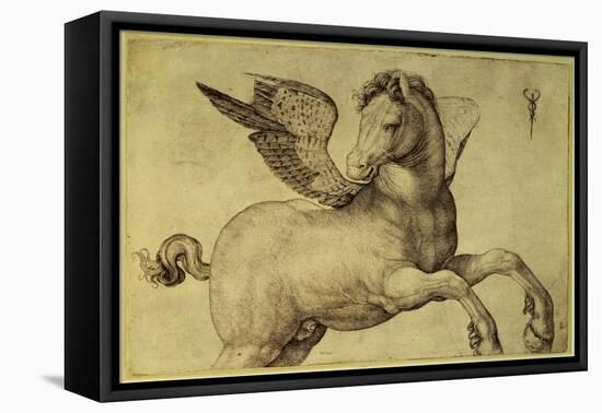 Pegasus-Jacopo de'Barbari-Framed Stretched Canvas