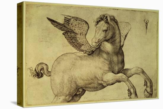 Pegasus-Jacopo de'Barbari-Stretched Canvas