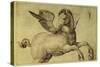 Pegasus-Jacopo de'Barbari-Stretched Canvas