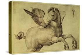 Pegasus-Jacopo de'Barbari-Stretched Canvas