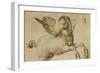 Pegasus-Jacopo De Barbari-Framed Giclee Print