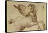 Pegasus-Jacopo De Barbari-Framed Stretched Canvas